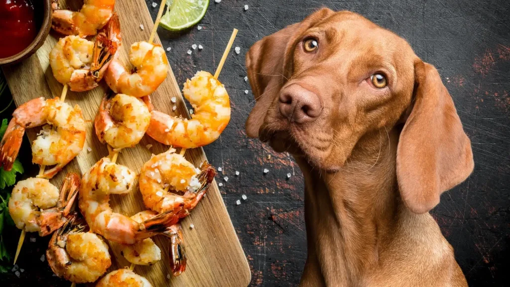 Can Dogs Eat Raw Shrimp
