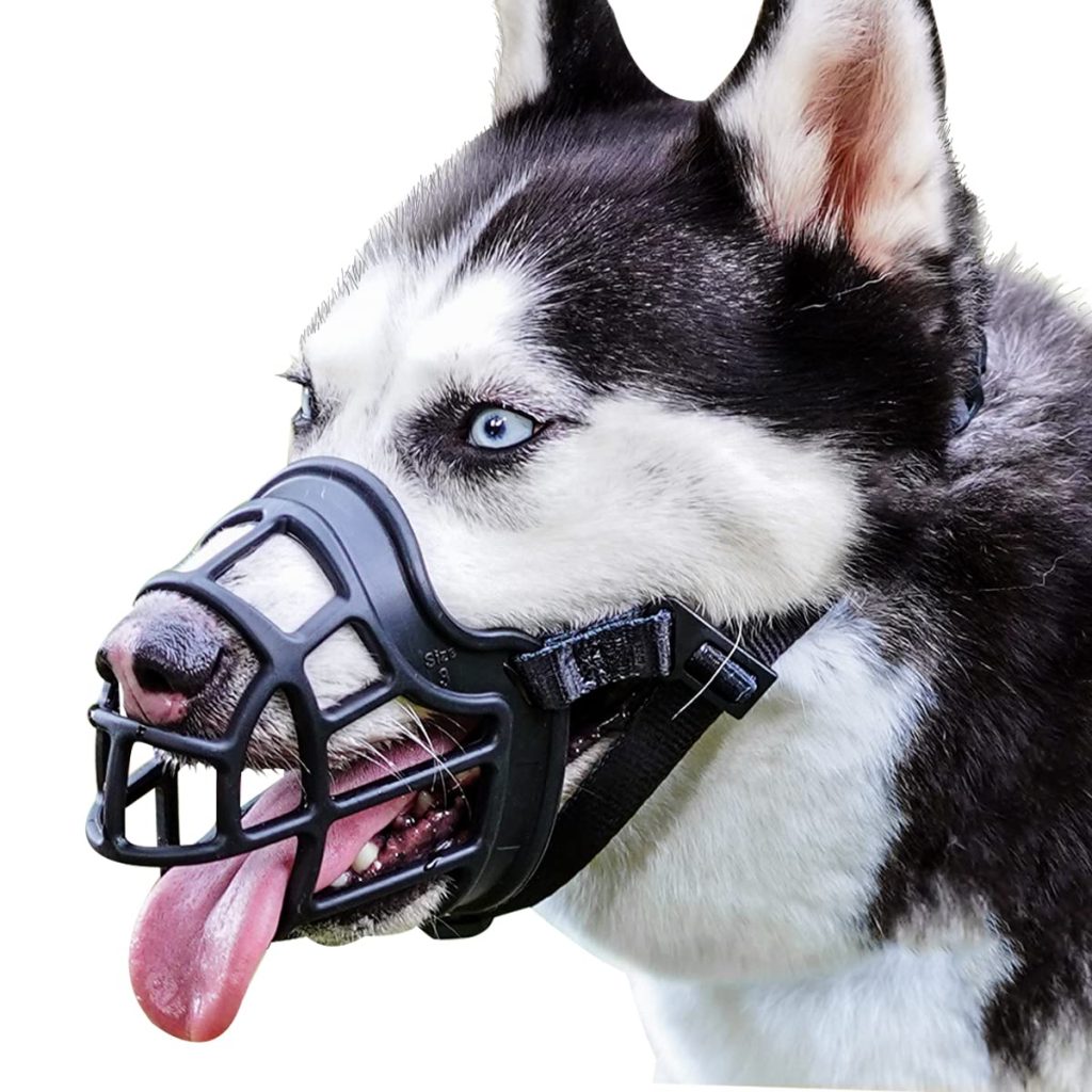 Does a Muzzle Stop a Dog From Barking