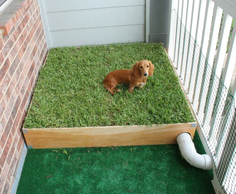 DIY Indoor Dog Potty