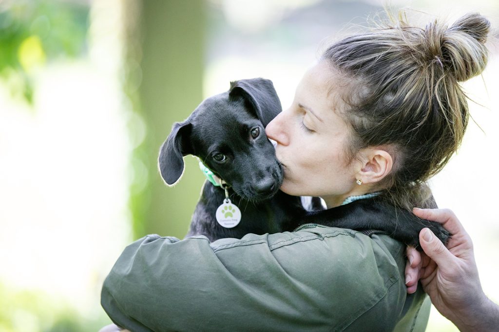 What to Ask When Buying a Puppy