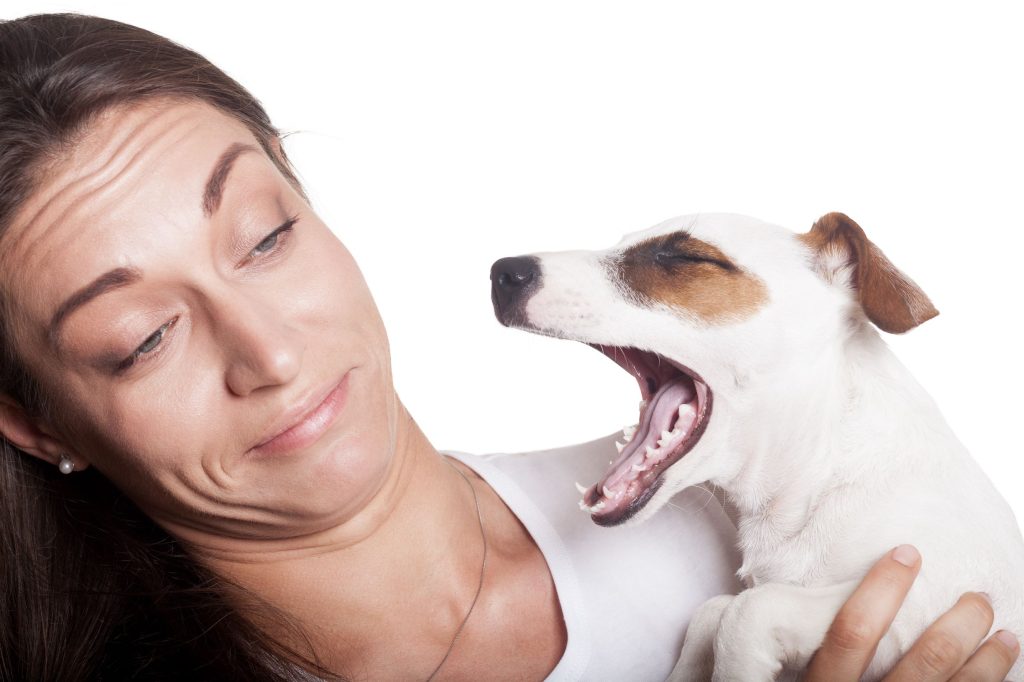 Bad Breath in Dogs Remedies