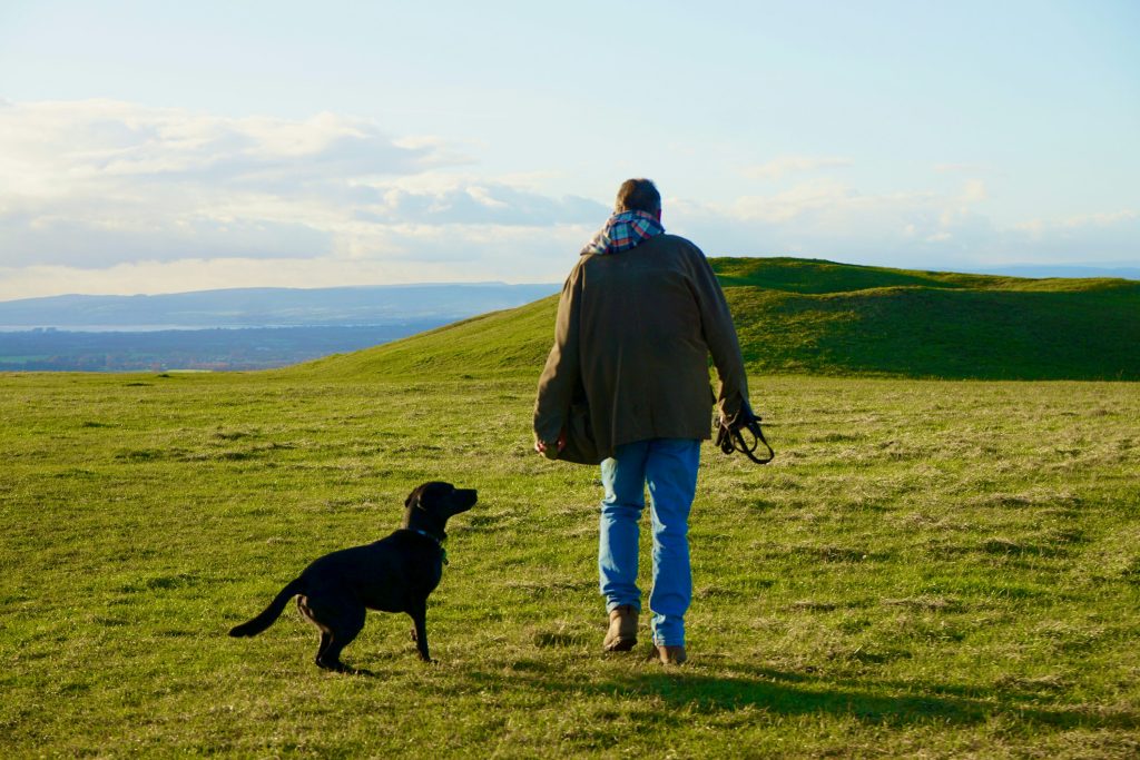 Best Dogs for Men