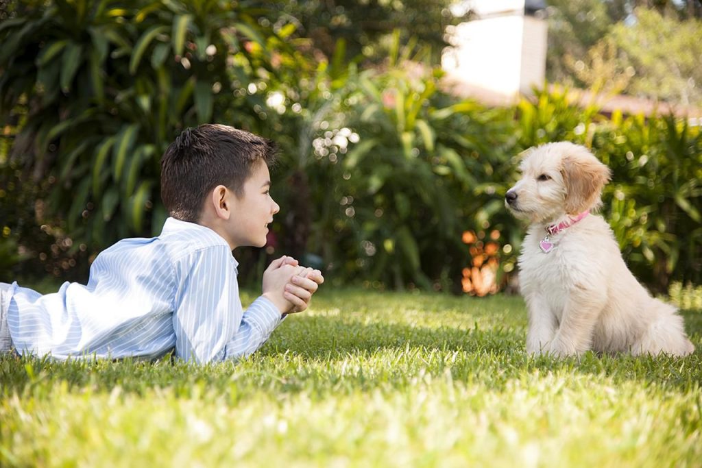 how to speak dog