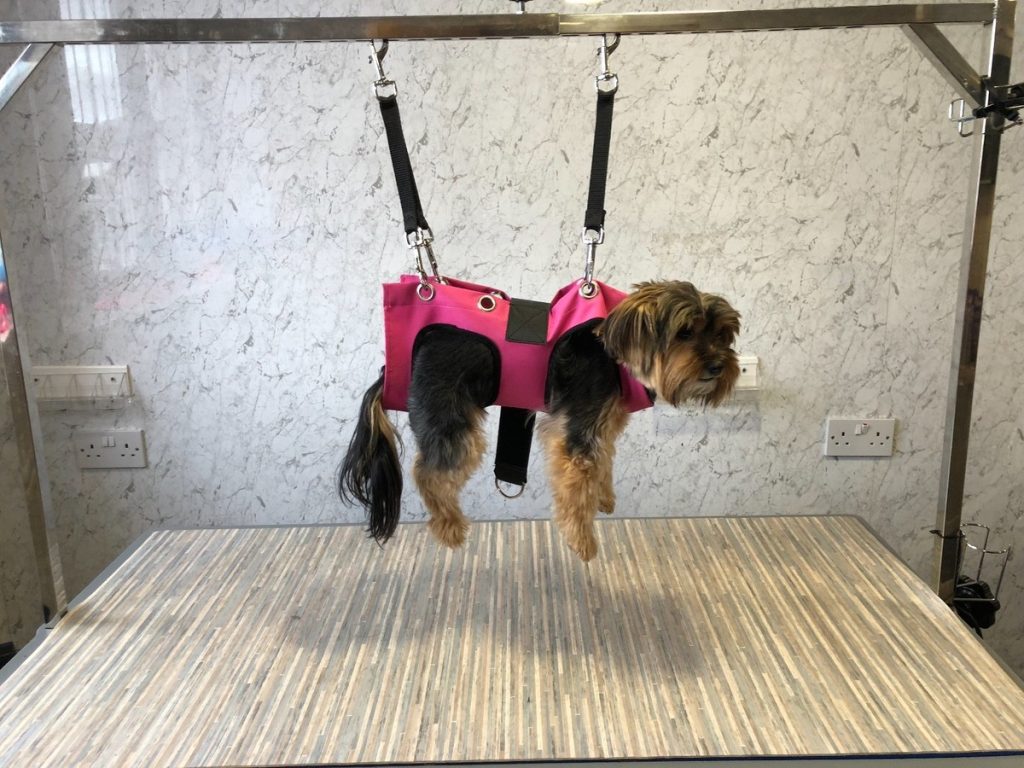 How To Restrain Dog For Nail Clipping