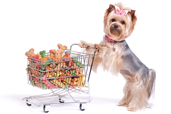 New Puppy Shopping Checklist PDF