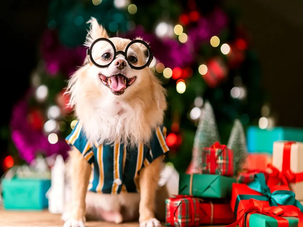 Presents For Dog Owners