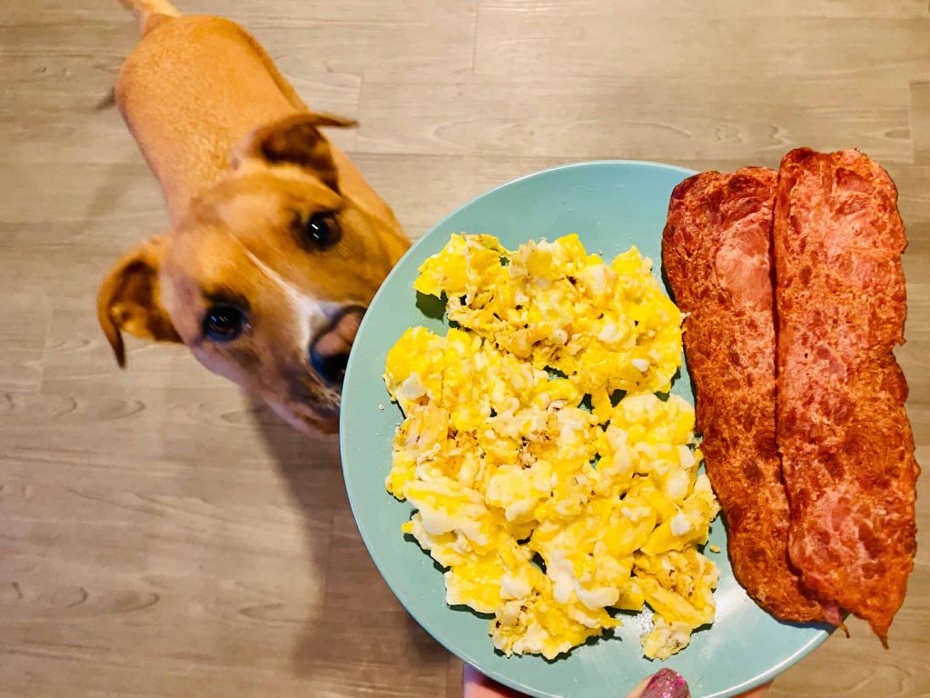 Can Dogs Eat Bacon And Eggs