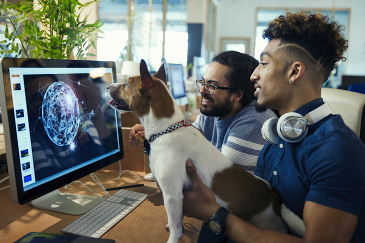 Jobs Where You Can Bring Your Dog