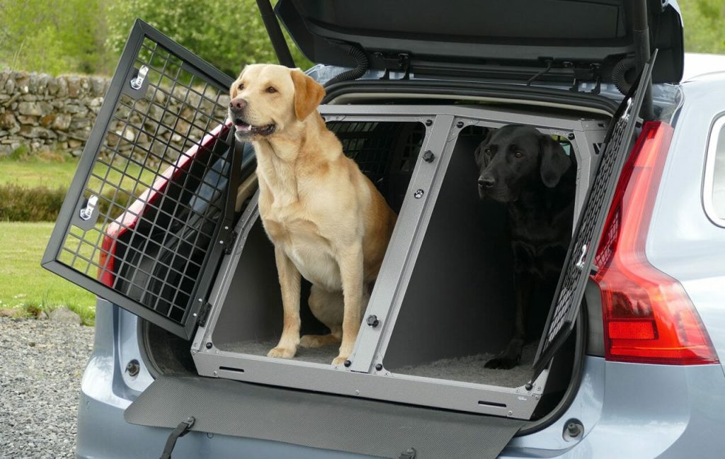 How To Become A Pet Transporter