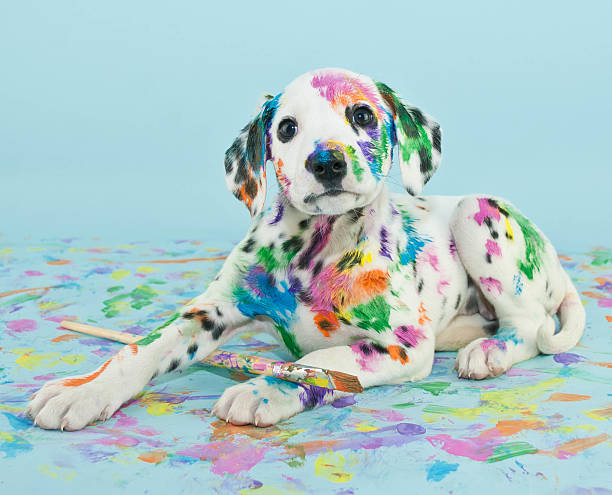 How To Color A Dog