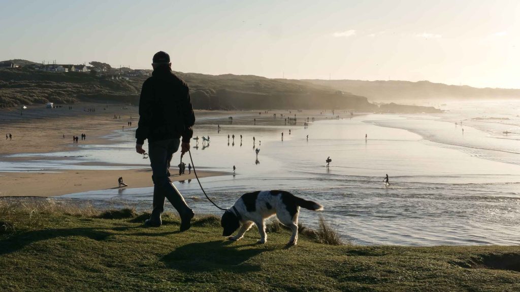 How Far Can I Walk My Puppy at Different Ages