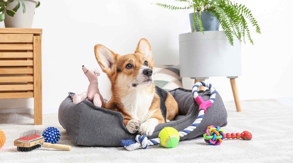 How To Sell Dog