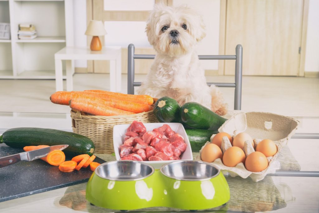 Low Calorie Dog Food