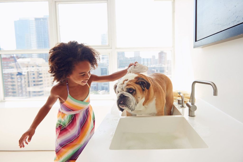 Can You Wash Your Dog With Dawn