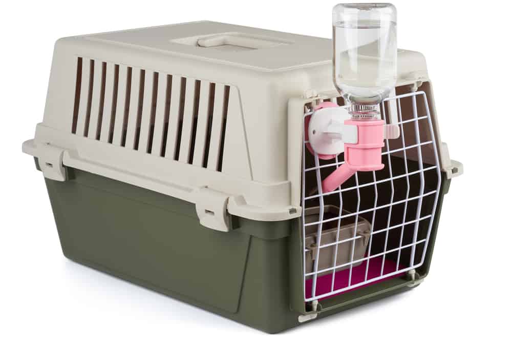 View of 10 Affordable Dog Water Bottles for Crate - ThepawVine
